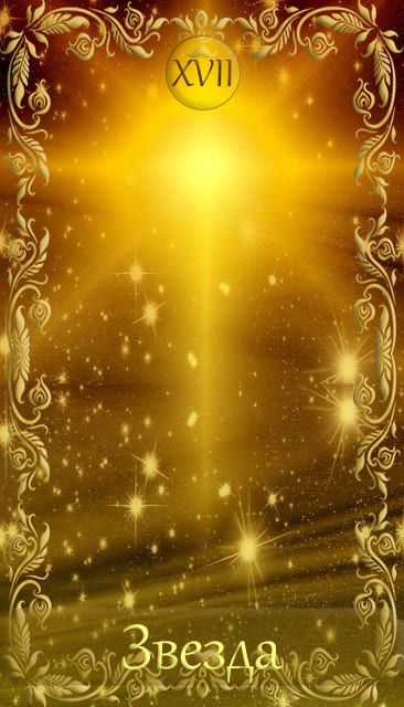 card-31